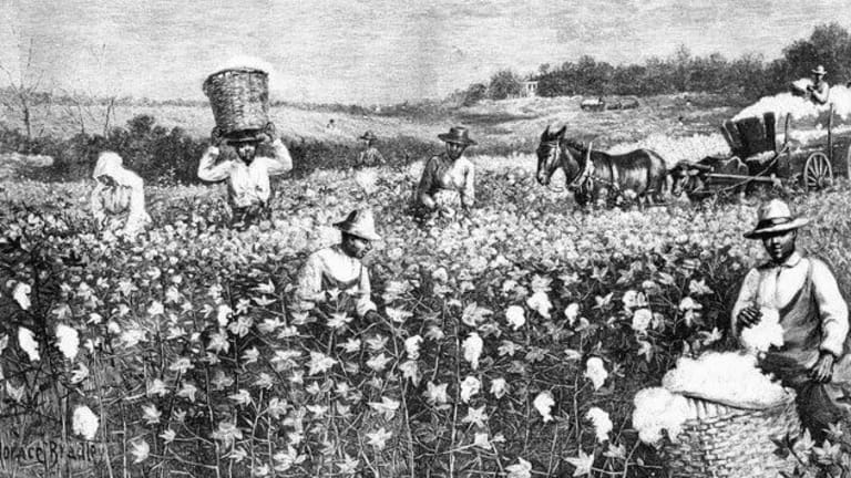 Capitalist Foundations of Racialization
