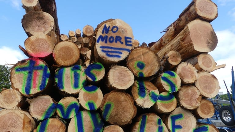 A Spray by Any Other Name — Agent Orange or Clear-Cut Agent?