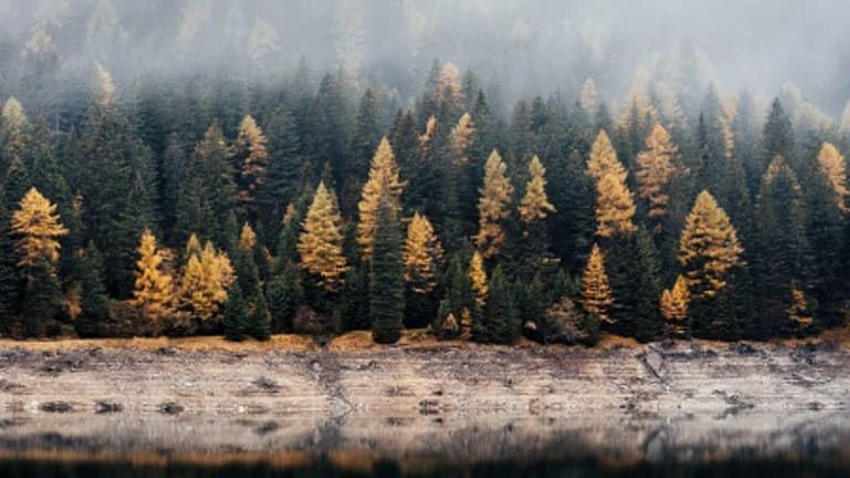 Rights of Nature Removed From New Draft of Post-2020 Global Biodiversity Framework