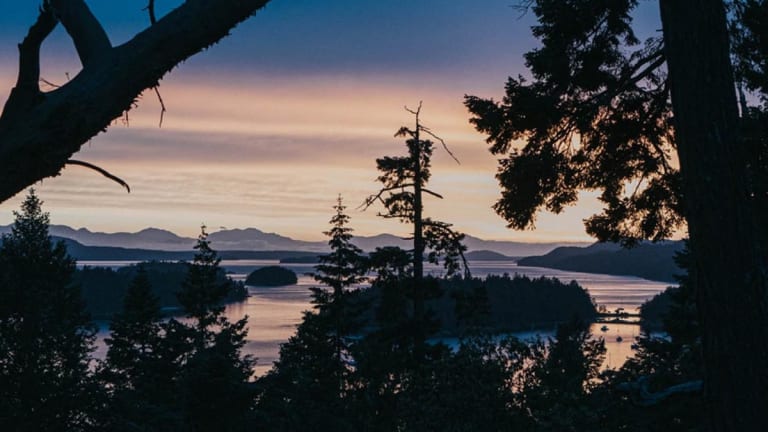 Salmon Nation and the Festival for a Sustainable Future