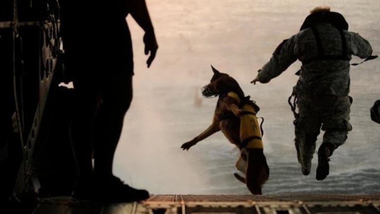 America’s Commandos Deployed to 141 Countries
