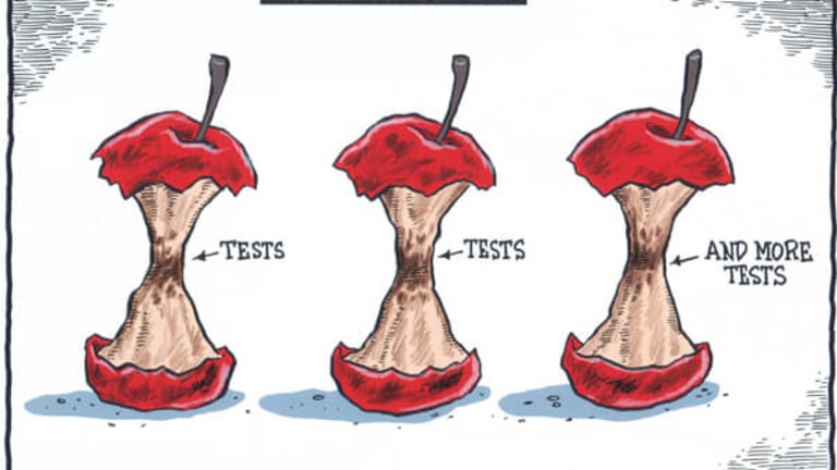 Teachers Need Tests -- Just Not Common Core!