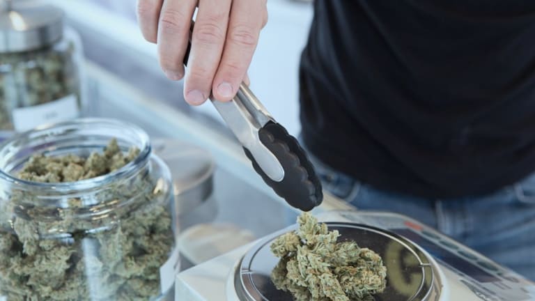 Cannabis Startups Generate More Jobs in Los Angeles