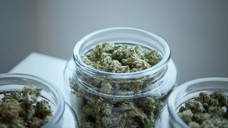 5 Steps on How to Obtain a Cannabis Cultivation License in Los Angeles