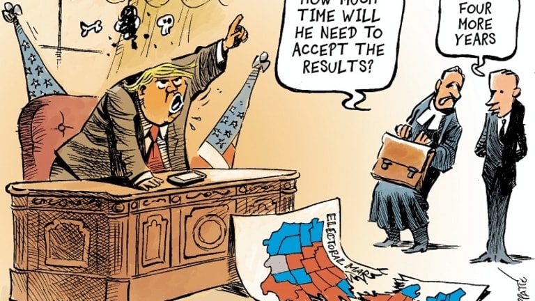 Will Nutty Trump Supporters Birth a Distrustful New Election Integrity Movement?