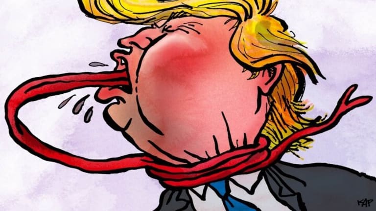Donald, Donald, Donald, We Told You a Million Times Not to Exaggerate