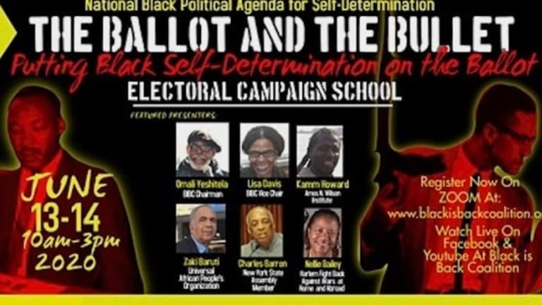 Defeating Bourgeois Electoralism