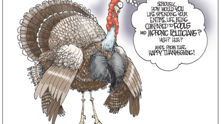 Turkeys in the White House