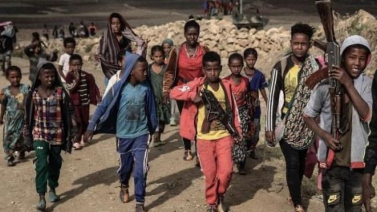 TPLF Attack in Ethiopia Contains Accumulated Evil of Ensuing War