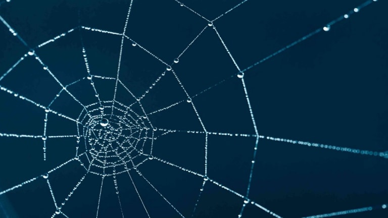 Spirals of Becoming: The Search for a Dialectical Spiral in the Individual Lifecycle