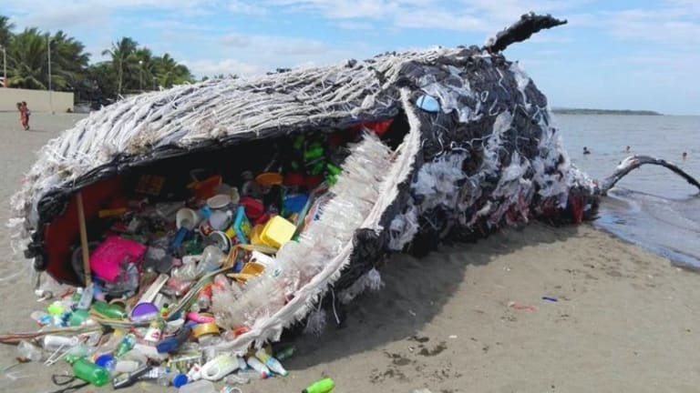 Plastic Meets the Road: Capitalism’s Role in Climate Change