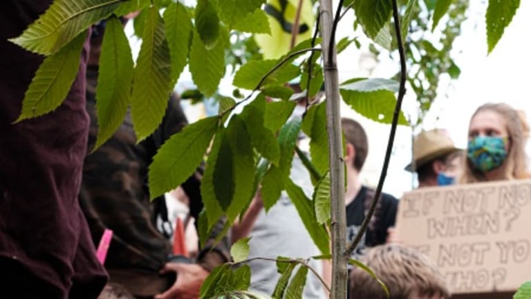 Healthy Green Growth or a Just Transition to a Fair and Sustainable Society?