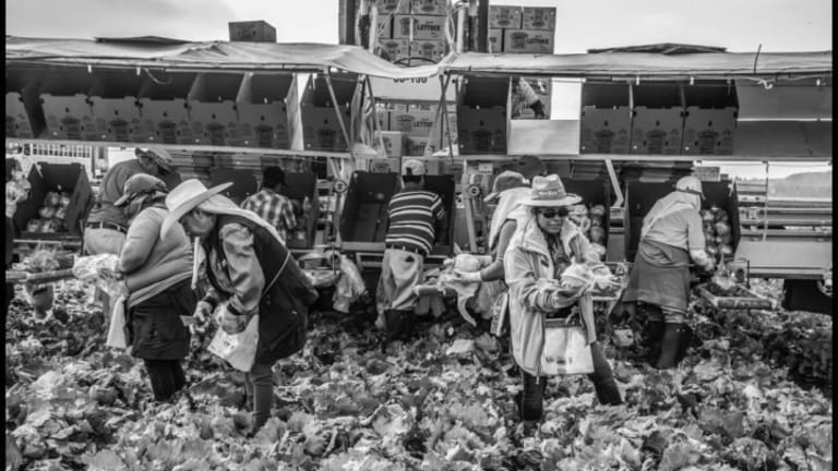 Supreme Court's Latest Anti-Labor Ruling Goes Far Beyond Farm Workers