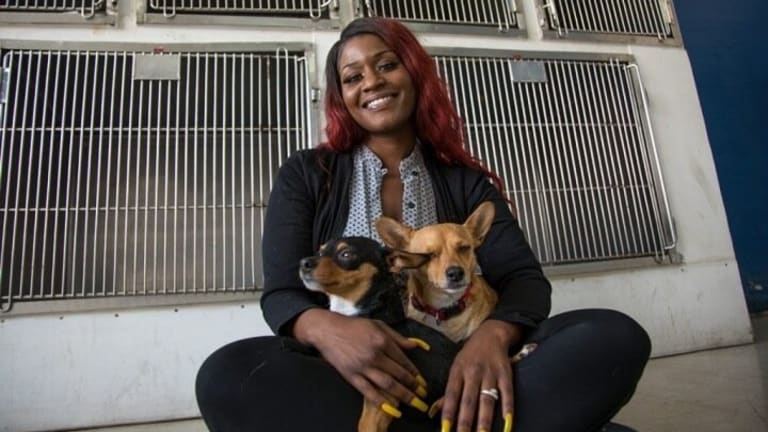 Living Homeless in California: Pet Owners on the Streets