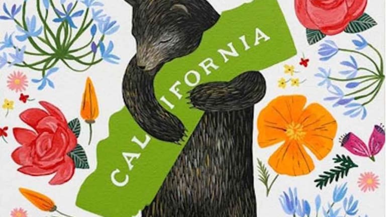 America, Thanks for Obsessing About California