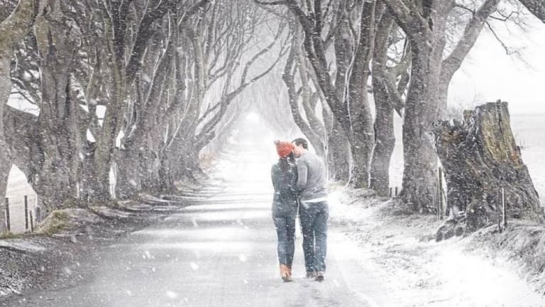 The Art of Love in the Far North