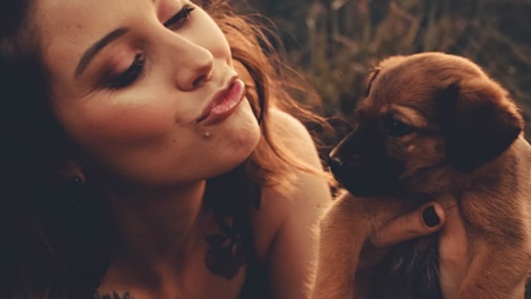 Dealing with Separation Anxiety in Your Newly Adopted Dog