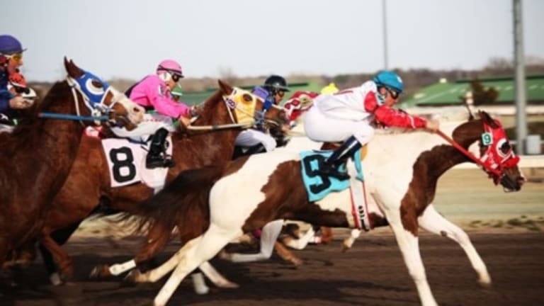 Betting Guide For 2019 Breeder’s Cup
