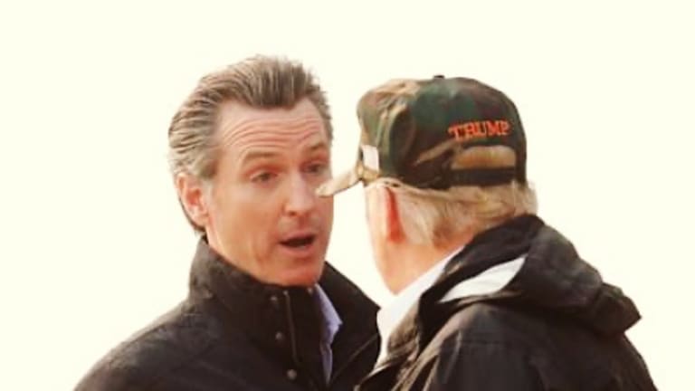 Newsom Soars While Trump, Abbott, DeSantis Lag