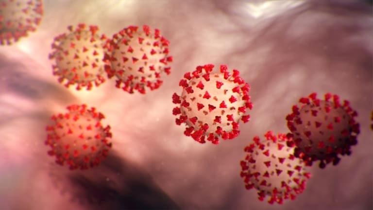 Who Owns Covid Vaccine Intellectual Property?