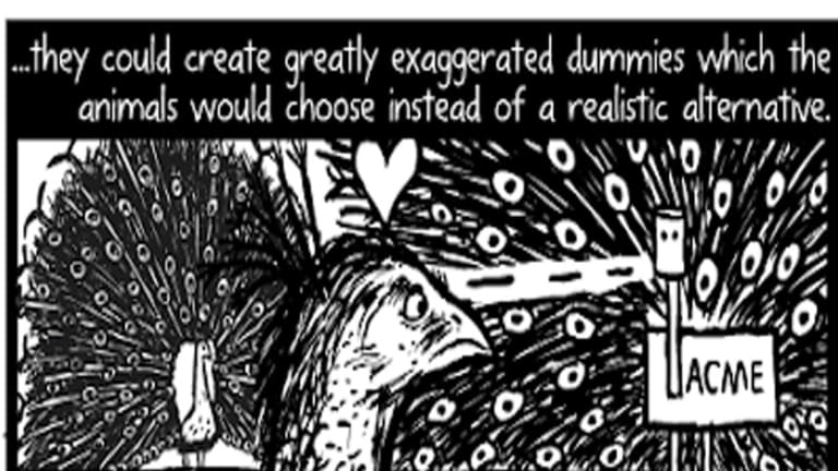 Supernormal Stimulus and Buggy Software