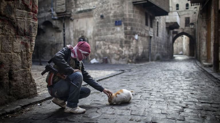 Syria After Aleppo