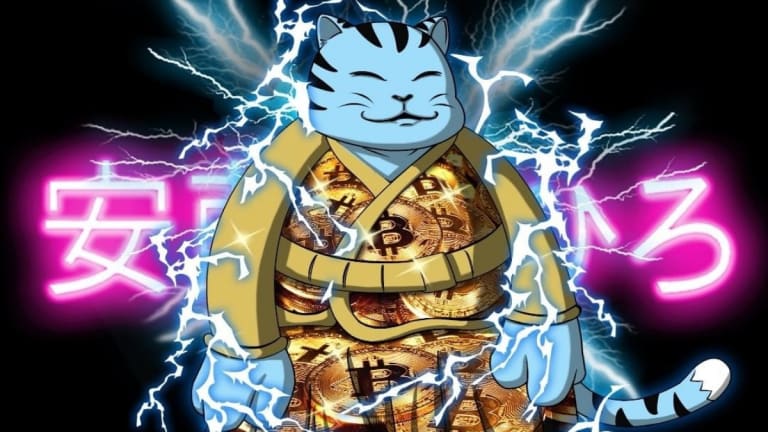 Popular Japanese neo-pop artist Hiro Ando launches his digital art on 'Samurai Cats'.