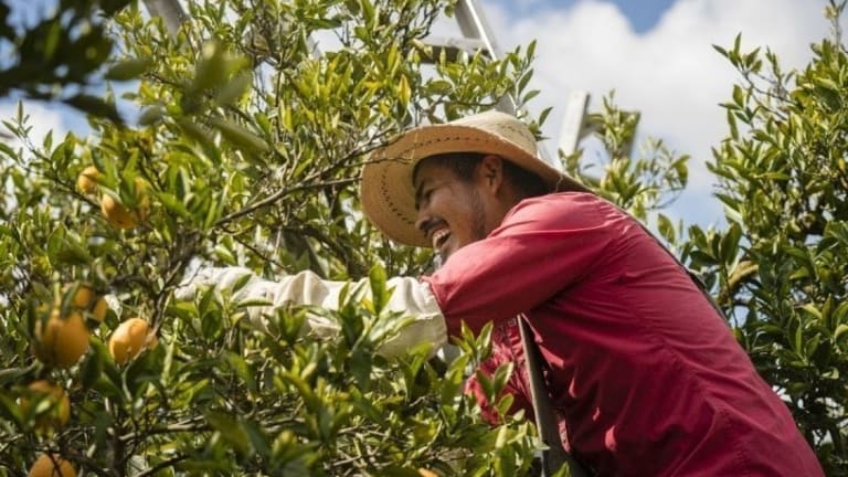 How to Support Your Local Farmers as Restaurants and Farmers Markets Close