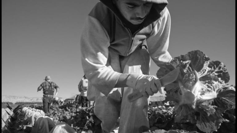 America’s Farmworkers Await the Virus