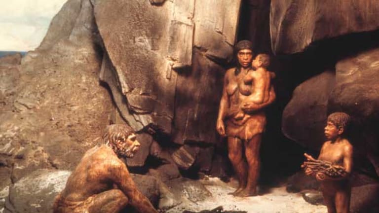 Stone Age Politics in Cyberspace