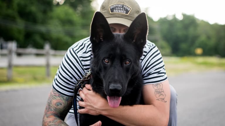 How Tom Davis, America's Canine Educator, Gives Dog Owners The Skills To Care For Their Companions
