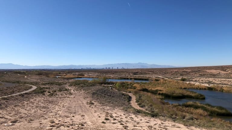 Vegas Bets Big on Water