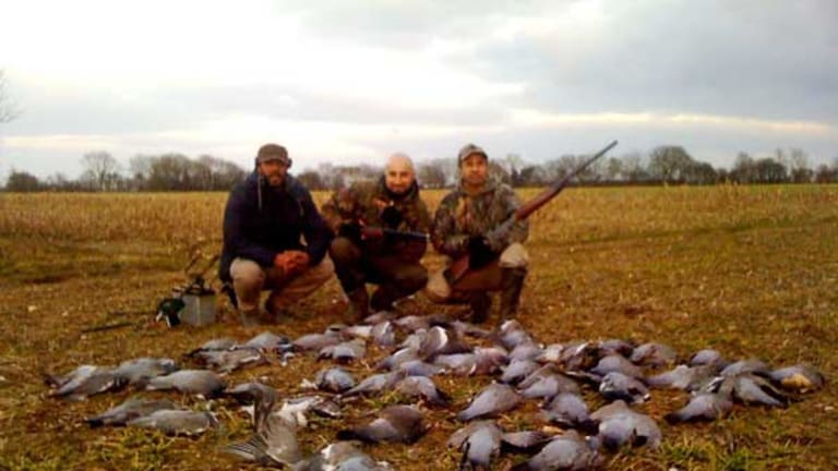 Admitting That Pigeon Shoots Are Animal Cruelty