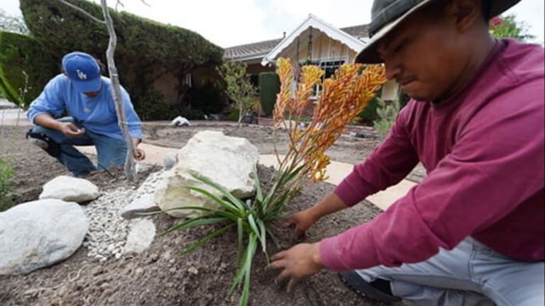 California Ag Escapes Water Restrictions