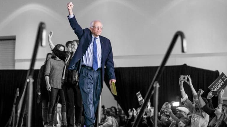 Bernie and the Movement