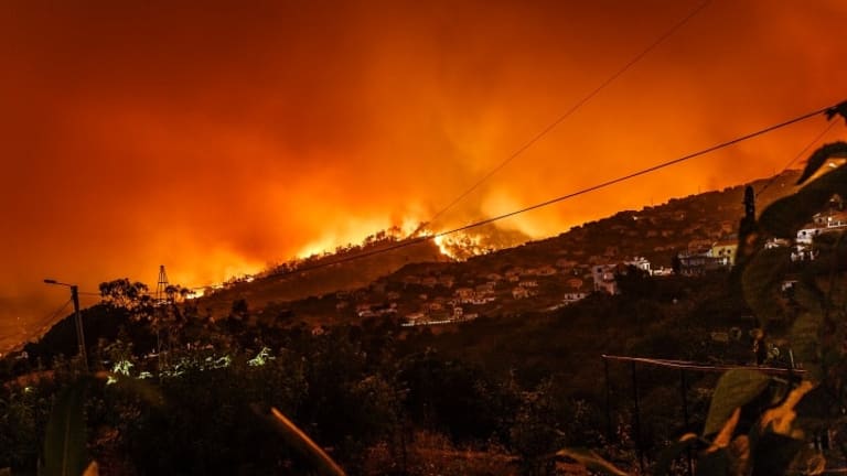 Democrats Fiddle While California Burns