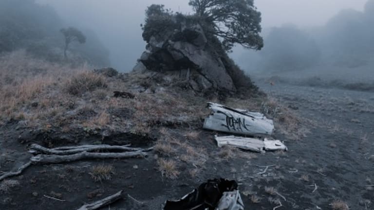 Can 'Ecocide' Becomes an International Crime?