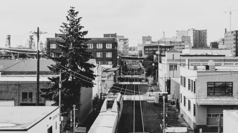 How Portland Radicalized Me: Understanding Trauma