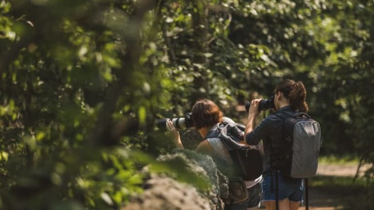 Science-Backed Reasons Why People Need to Spend More Time in Nature