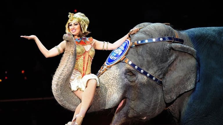 A Large Problem for Circuses