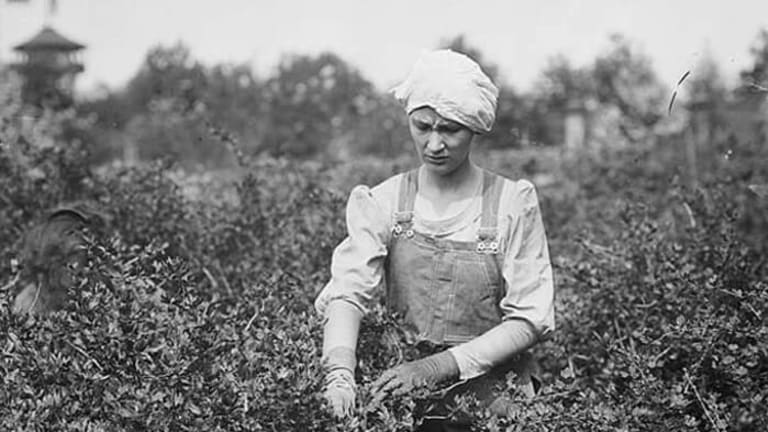 Family Farms vs. Americanism