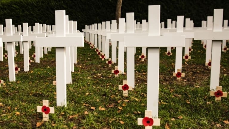 Armistice Day – Wage Peace with Renewed Energy!