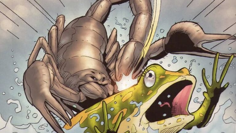 The Scorpion and the Frog, Donald Trump Version