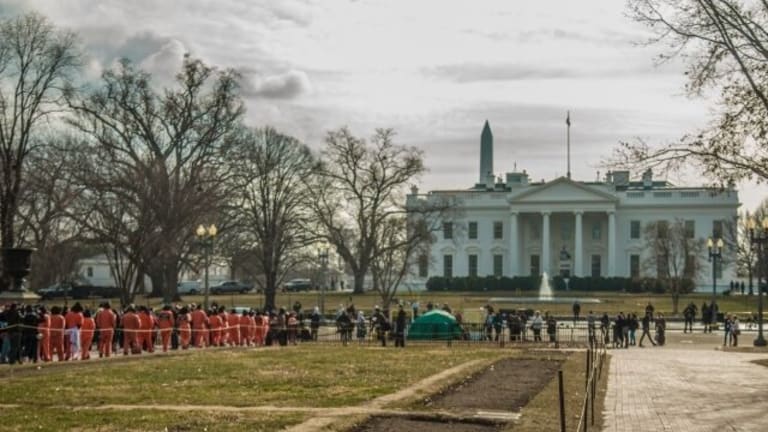 41 Hearts Beating in Guantanamo