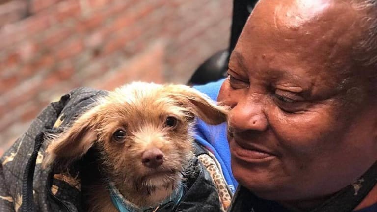 Los Angeles Renters Fight Back to Keep Their Pets — and Homes