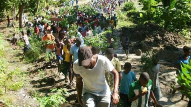 Land Grab in “Paradise”: Haiti’s Île à Vache Fights Back