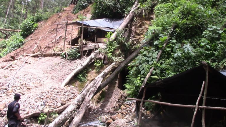 Attacks on Nicaragua’s Rainforest and Indigenous Peoples
