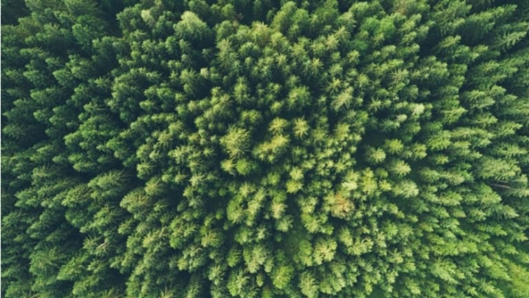 How to Adapt to the New Environment for University Students