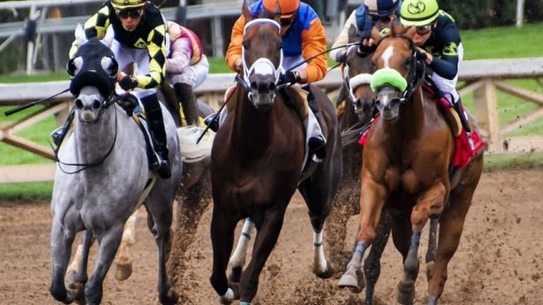 3 Smart Tips On How To Place Your Bet During the 2020 Breeders' Cup