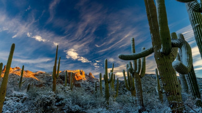 Seasonal Insomniacs in Times of Climate Chaos